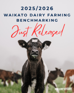 benchmarking - just released